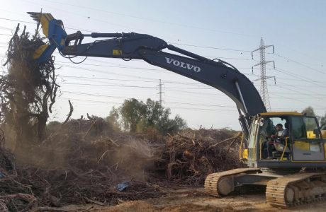 ריסוק גזם ושיקום נופי