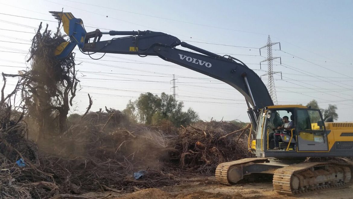 ריסוק גזם ושיקום נופי